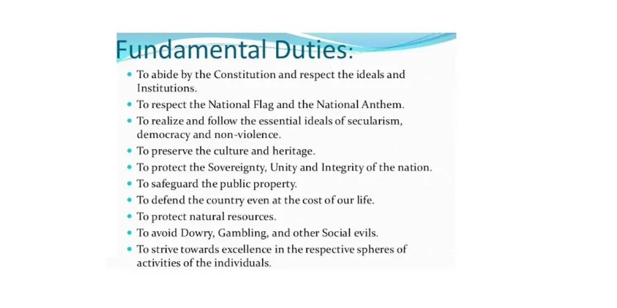 Law College Slide 3